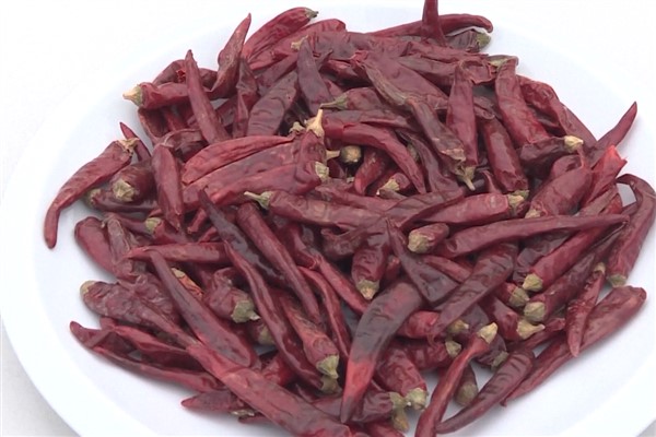 Pakistan’dan ithal edilen kuru biberin ilk sevkiyatı Çin’e ulaştı