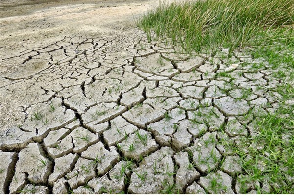 Özhaseki: ” Türkiye olarak COP29’un başarısı için Azerbaycan’a desteğimiz tamdır”