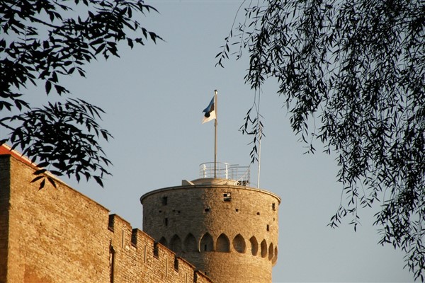 Tsahkna: “NATO’nun açık kapı politikasına kuvvetle inanıyoruz”