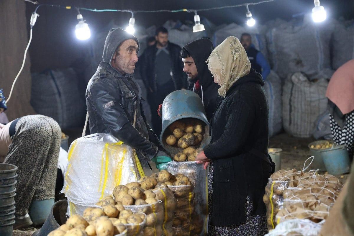 Kapadokya'daki doğal depolar, Türkiye'nin patateslerini koruyor