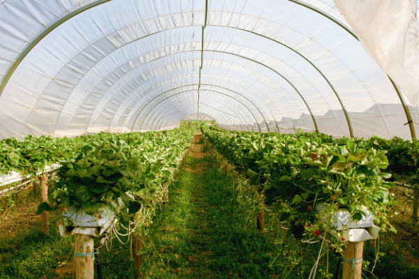 Bakan Yumaklı: “Antalyamızın potansiyelini hep birlikte daha da ileriye taşıyacağız”