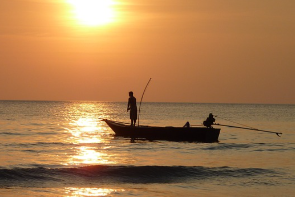 Başkan Soyer: ”Ucuz ve sağlıklı balık, çok yakında İzmirlilerin hizmetinde”