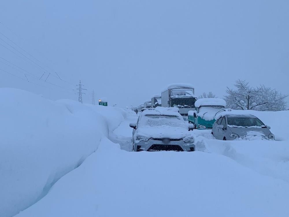 Tayvan'da soğuk hava 145 can aldı