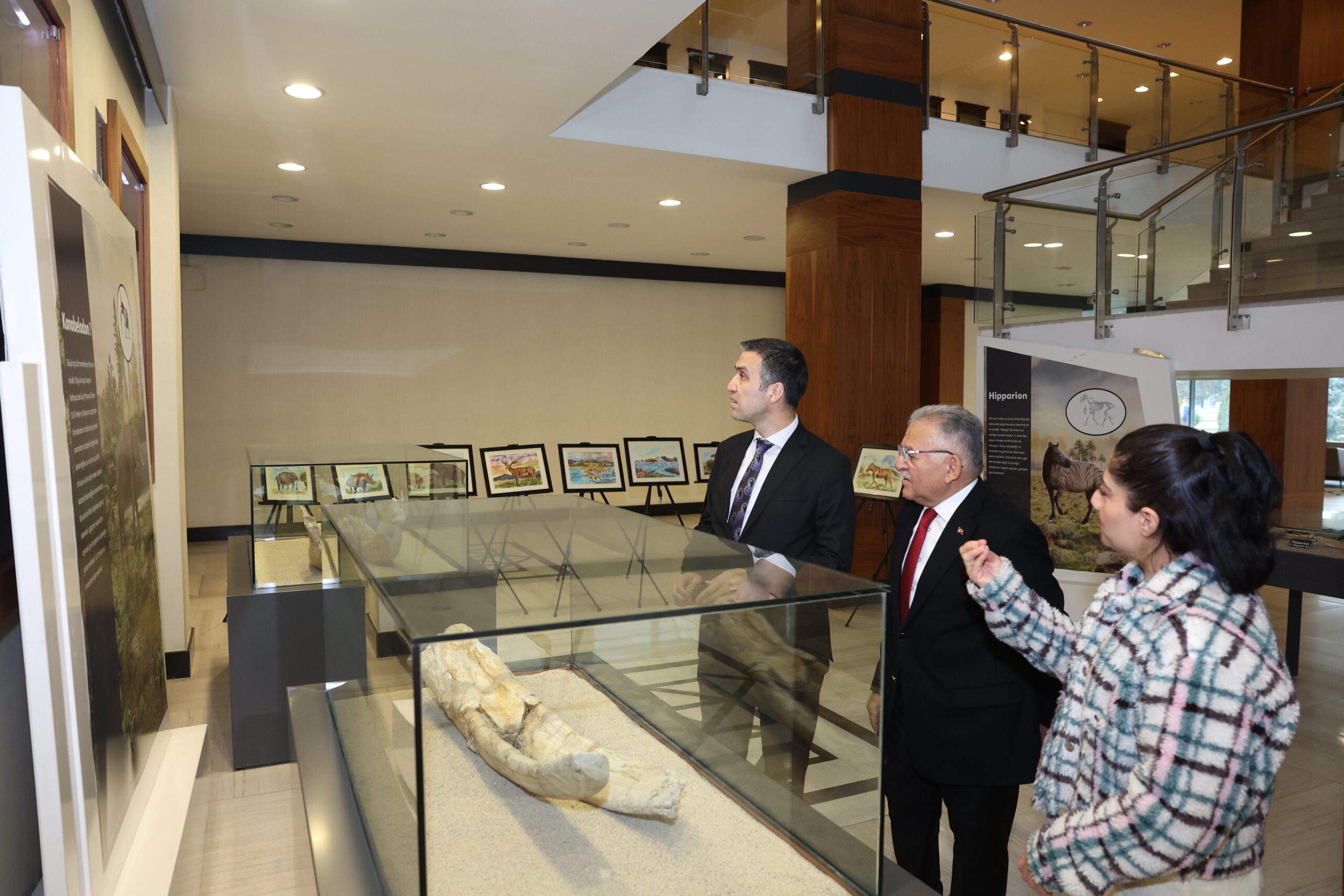 7,5 milyon yıllık fosiller, Kayseri Büyükşehir Belediyesi Fuaye Alanı’nda sergileniyor