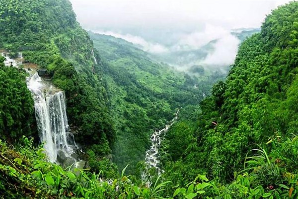 Çin, 2023’te 8,33 milyon hektarlık alanı ağaçlandırdı