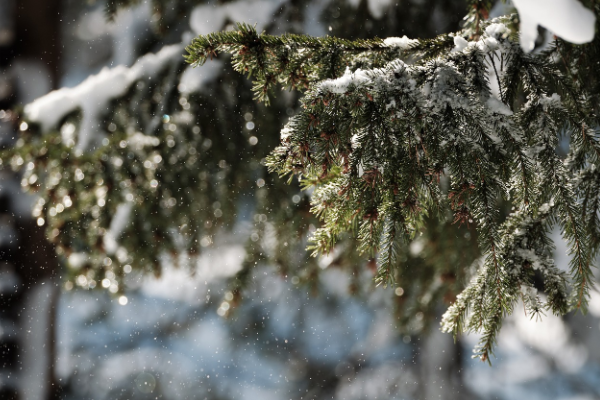 Meteoroloji’den kuvvetli yağış uyarısı