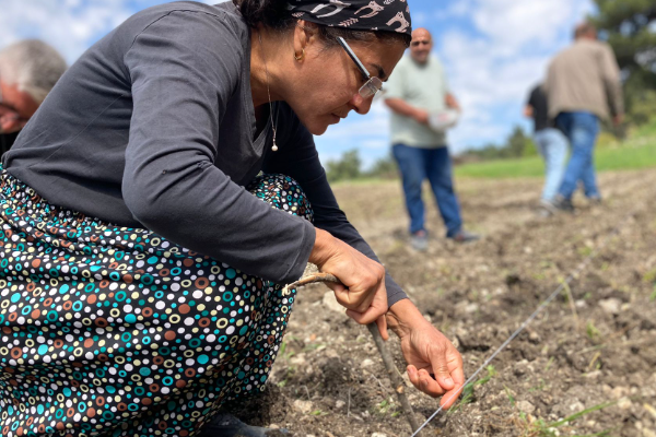 Bornova Belediyesi, 2023 yılında tarımsal faaliyetlerini güçlendirdi