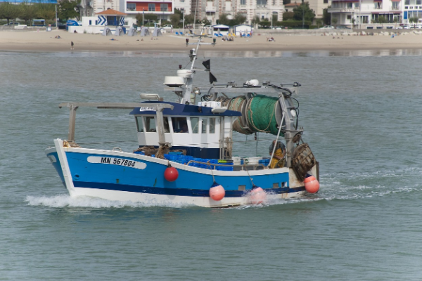 Bakan Yumaklı: “Avrupa ülkeleri arasında su ürünleri yetiştiriciliğinde 1. sıradayız”