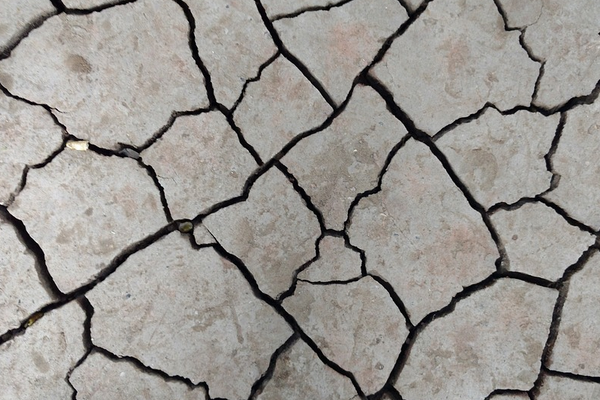 Kanada Başbakanı Trudeau: “Kanada, Japonya’ya yardım elini uzatmaya hazır”