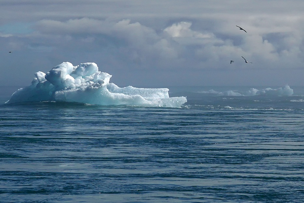 BM: “İklim eylemi daha fazla bekleyemez”