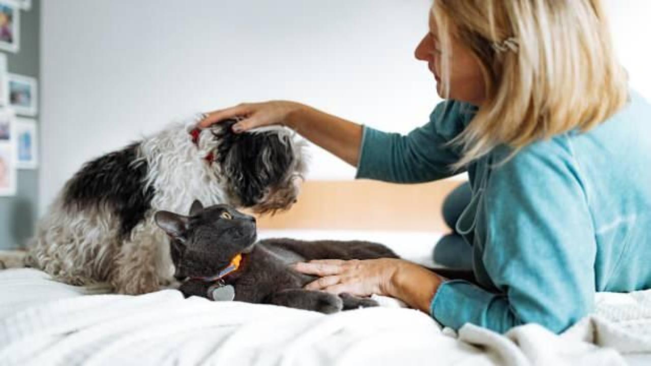 2,8 milyon dolarlık servetini evcil hayvanlarına bıraktı