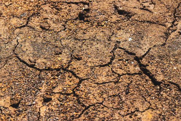 Bakan Bolat’tan Kırgızistan’daki depremden etkilenenler için geçmiş olsun mesajı