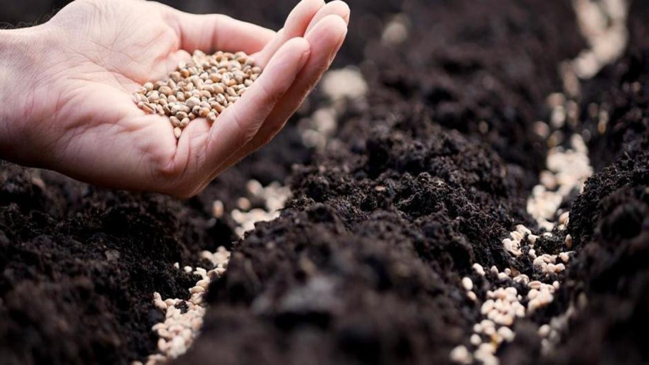 Bakan Yumaklı: ‘Yüzde 97’si Türkiye’de üretiliyor’