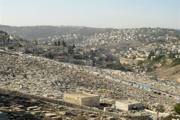 Cohen: “UNRWA’ya başka bir kuruş yok!”