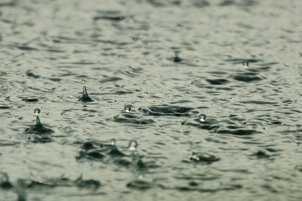 Hatay’da kuvvetli yağış bekleniyor