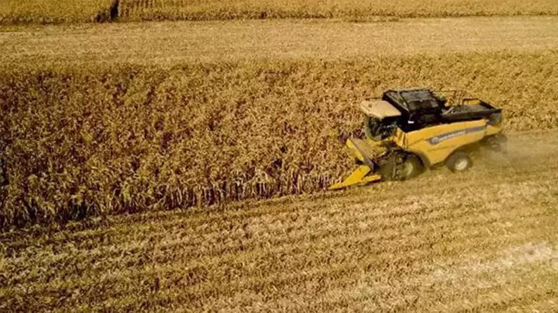 TÜİK: Tarımsal girdi fiyat endeksi kasımda arttı