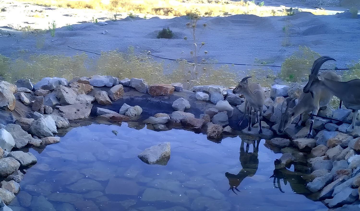 OYAK Çimento’nun Antalya’daki üretim sahası yeniden doğaya kazandırılıyor