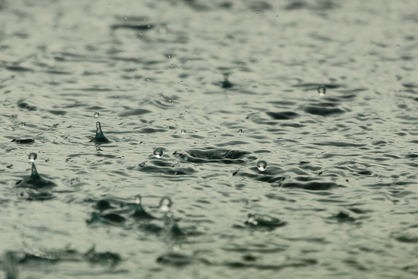 Meteoroloji’den kuvvetli yağış ve rüzgar uyarısı