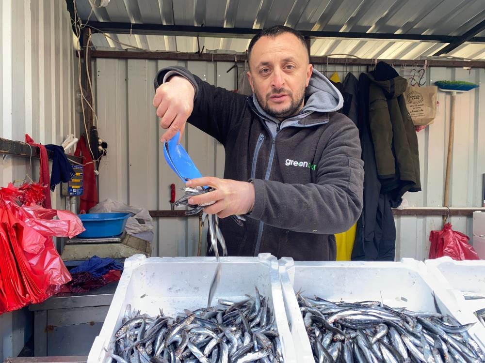 Balık tezgahlarında istavrit bolluğu yaşanıyor