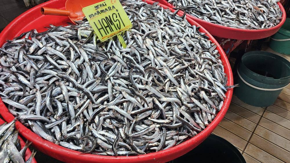 Marmara'daki fırtına balık fiyatlarını etkiledi