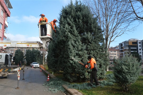 Eskişehir Büyükşehir Belediyesi’nden ağaçlara kış bakımı