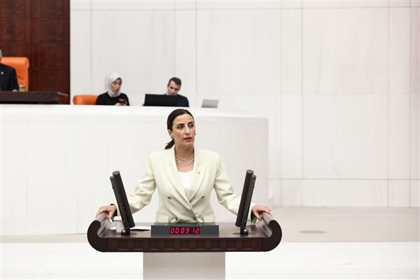 Rızvanoğlu: “Türkiye’de karbon sertifikaları verebilecek AB’den akredite olan kuruluş yok”