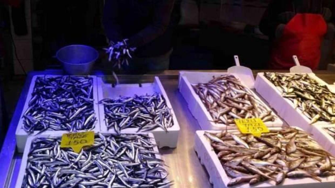 Trabzon’da hamsinin kilosu şaşırttı!