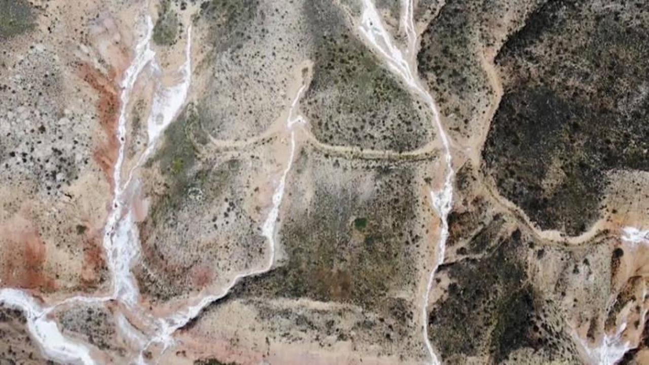 Tam 1300 metreden çıkıyor! Türkiye’den dünyaya gönderiliyor