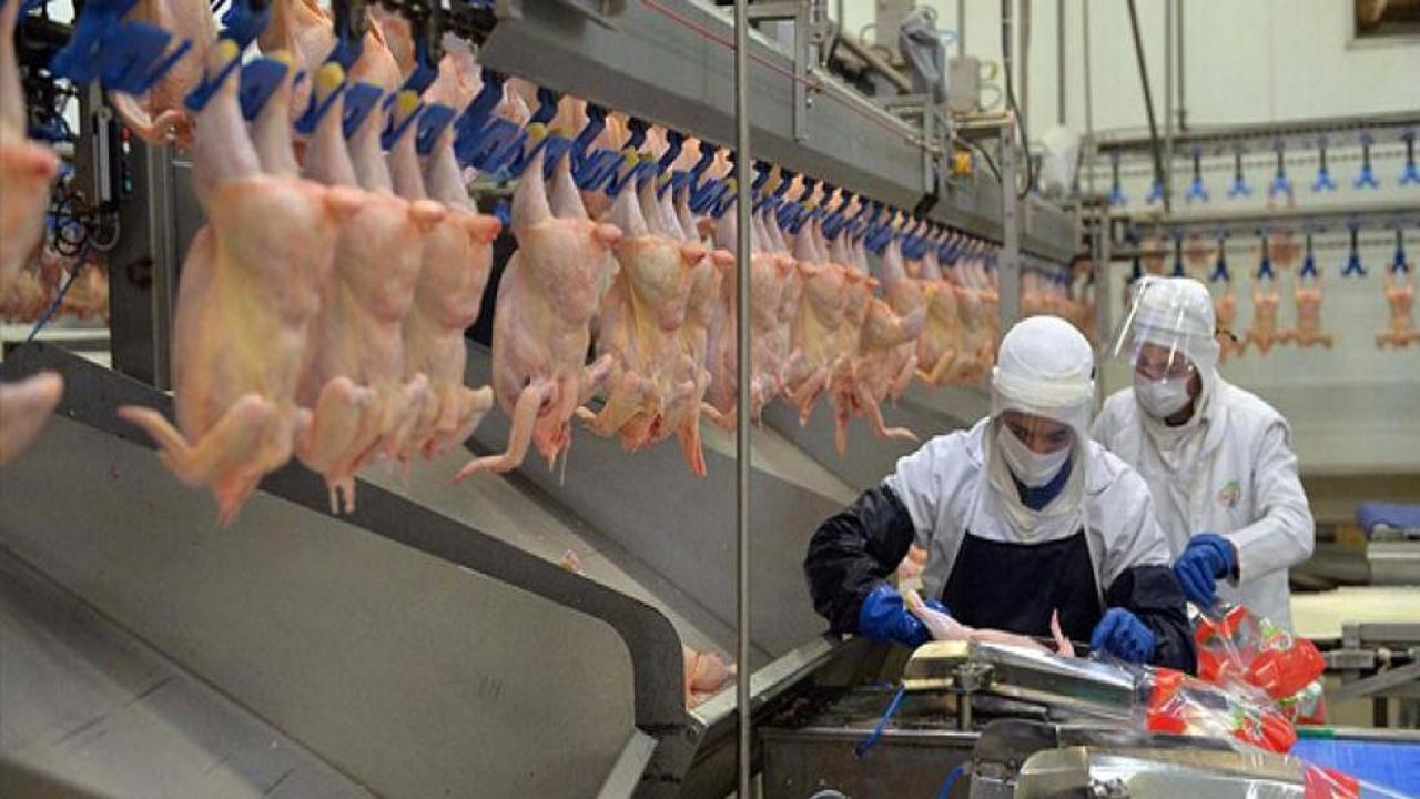 Beyaz et sektöründe dev satın alma