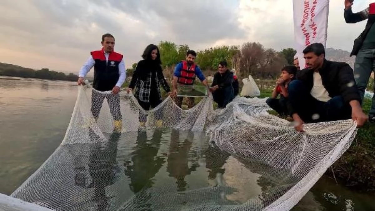 Dünyada en çok aranan leopar sazanı Dicle Nehri'nde bulundu