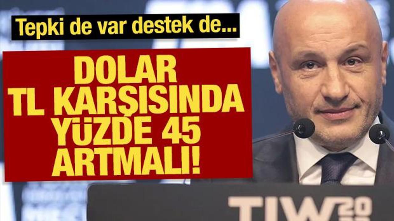 ‘Dolar, TL karşısında yüzde 45 artmalı’