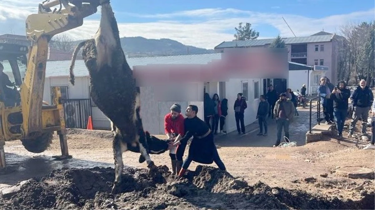 Esnaf ve çiftçiler, banka müdürünün tayininin çıkmasını tosun keserek kutladı