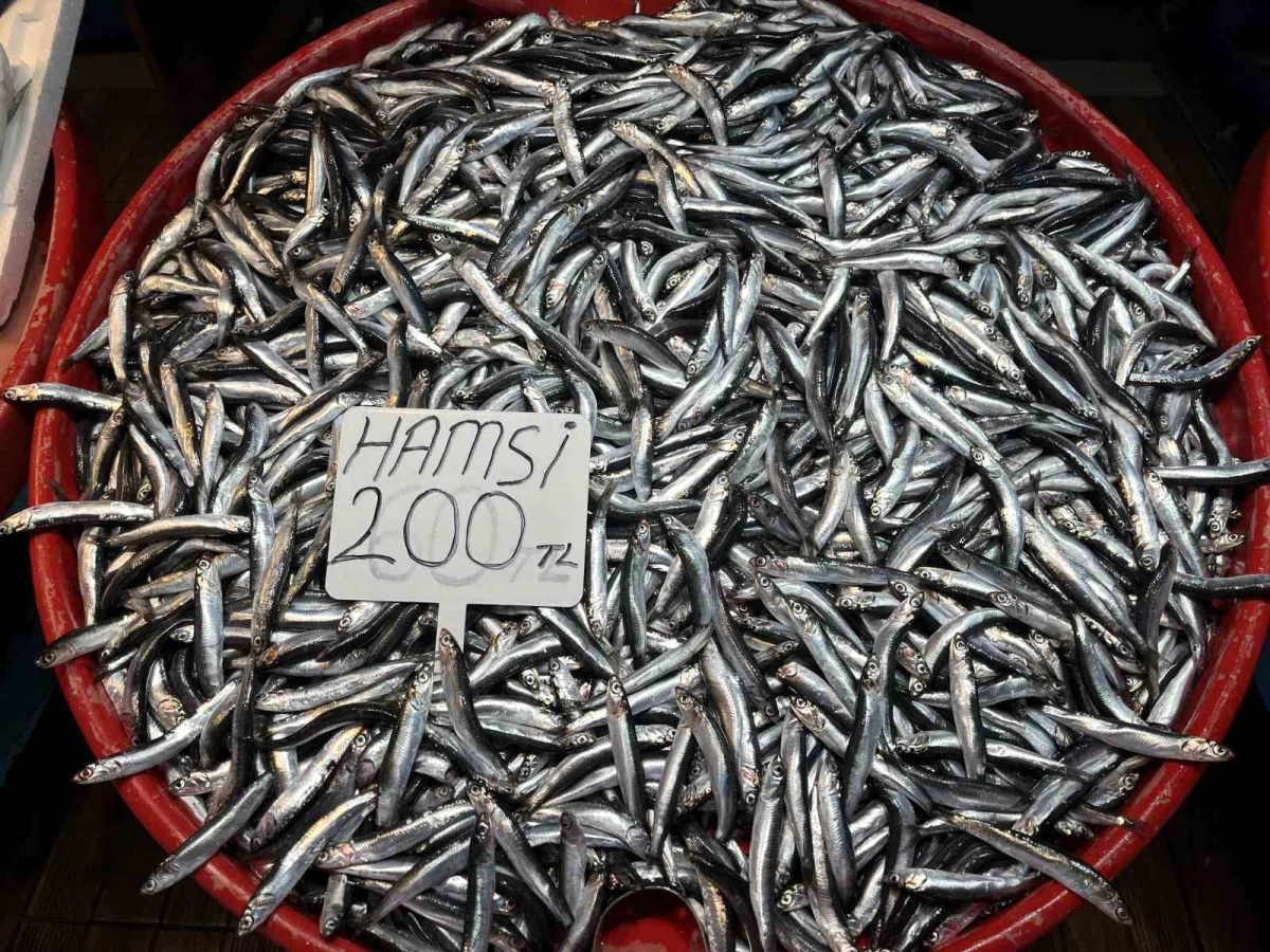Hamsi fiyatlarını fırtına vurdu, kilosu 200 TL’ye çıktı