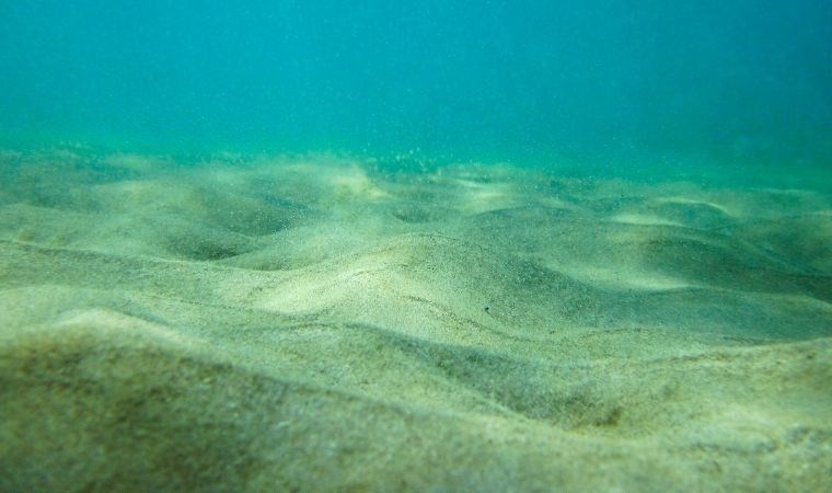 İklim değişikliğini hızlandıran bir diğer etken; deniz tabanının bozulması
