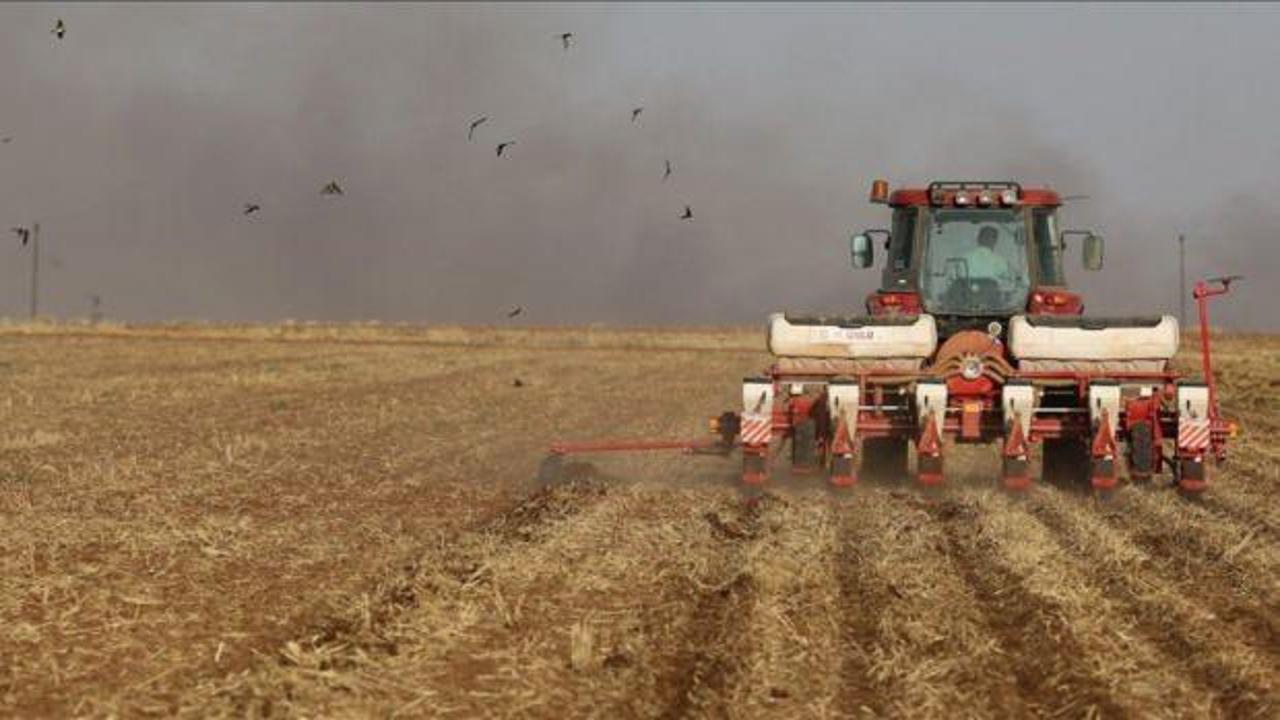 Tarımsal girdi fiyatları kasımda yüzde 1,44 arttı