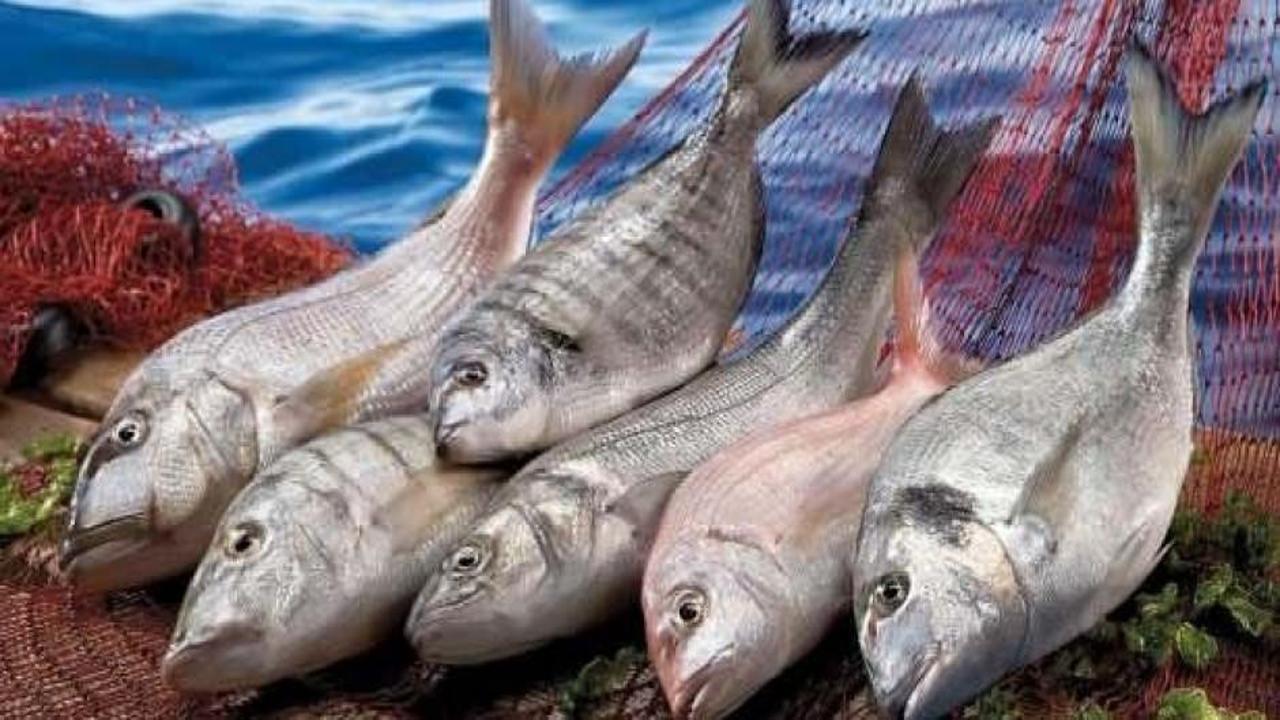 Trabzon’un su ürünleri ihracatı yüzde 58 arttı