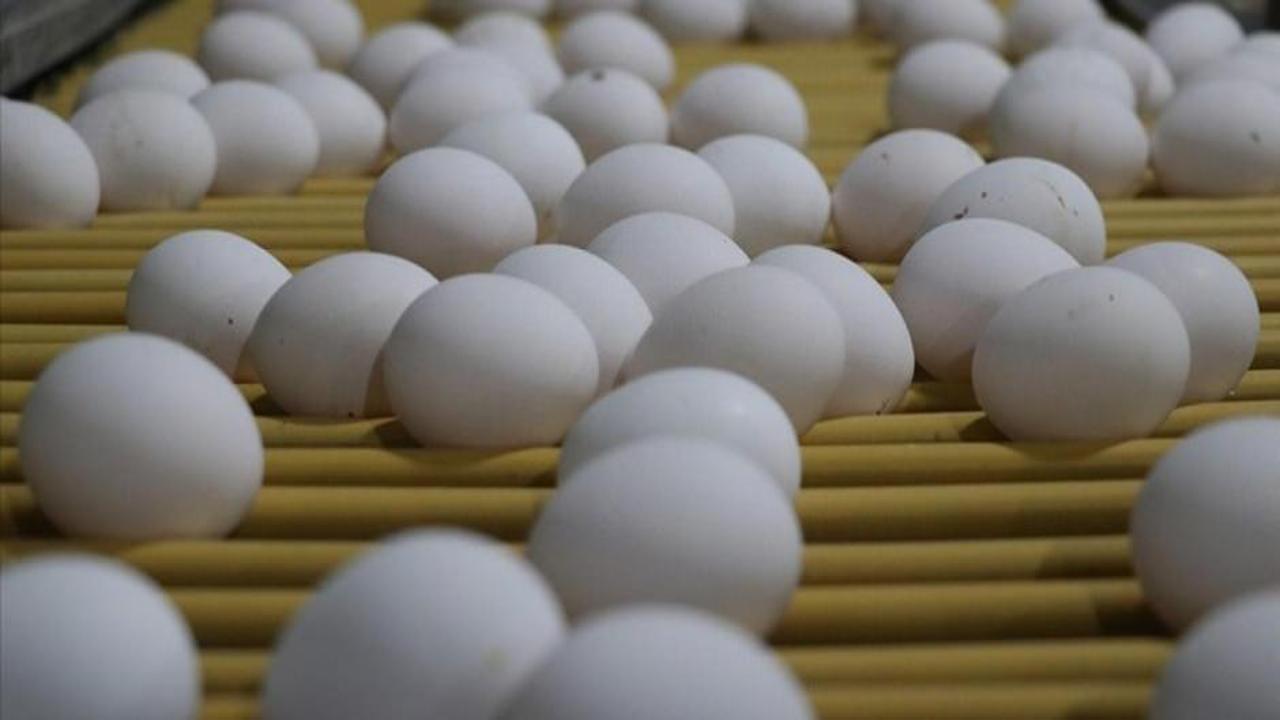 Üreticide fiyatı düşen yumurta, markette zamlandı!