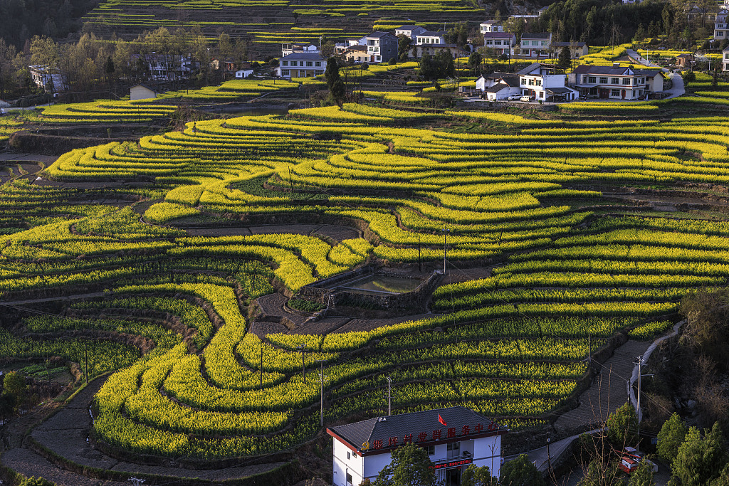 Çin’den kırsal bölgeleri canlandırma amaçlı yol haritası
