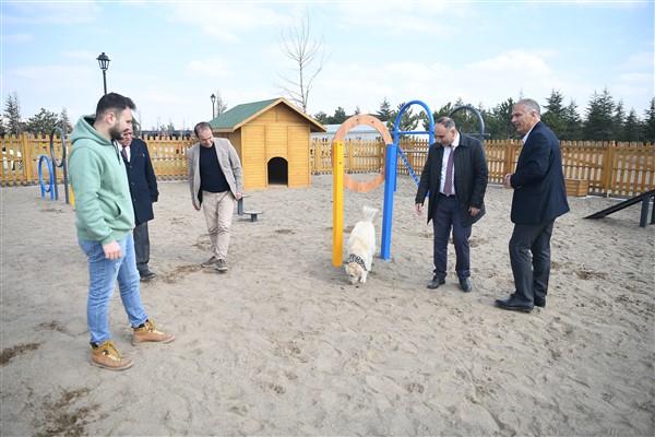 Kayseri Büyükşehir’in Köpek Eğitim Parkuru hizmet vermeye başlıyor