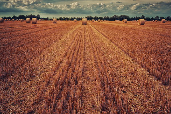 Macron: “Tarımımızı güçlü ve kararlı bir şekilde koruyacağız”