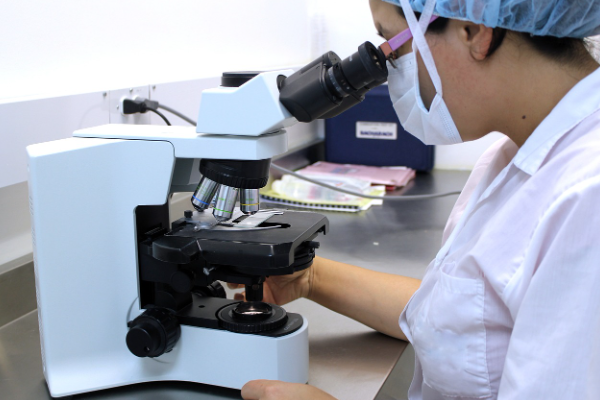 Ghebreyesus’dan Uluslararası Bilimde Kadınlar ve Kız Çocukları Günü mesajı