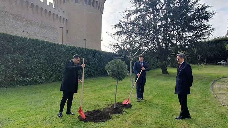 Vatikan’da 6 Şubat depremlerinde ölenlerin anısına zeytin ağacı dikildi