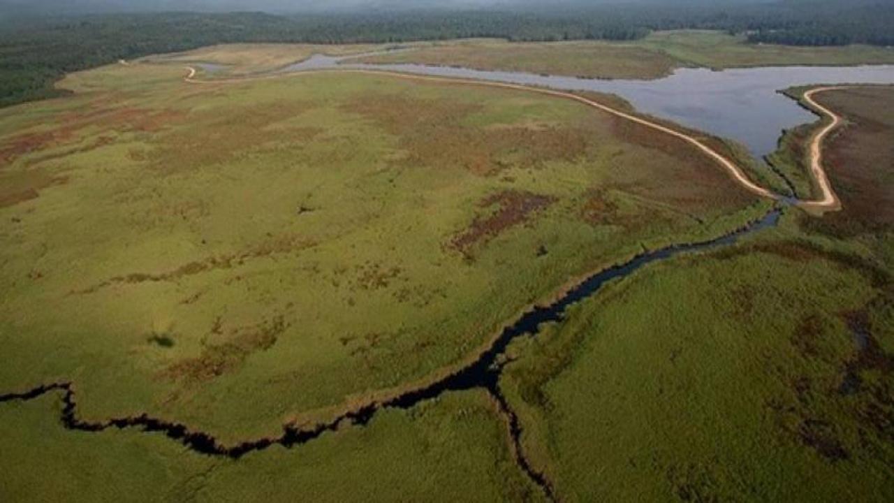 6 bin 418 sulak alan kayıt altına alındı!