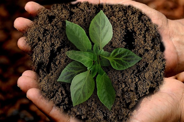 Sürdürülebilirlik Yılı, 2024’ü kapsayacak şekilde uzatıldı