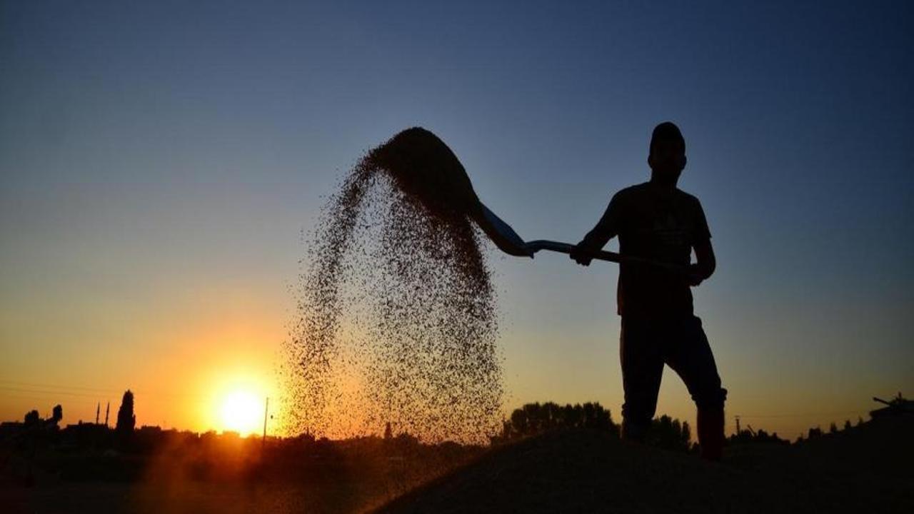 Bakanlık 1500 tarım işçisinin alınacağını duyurdu