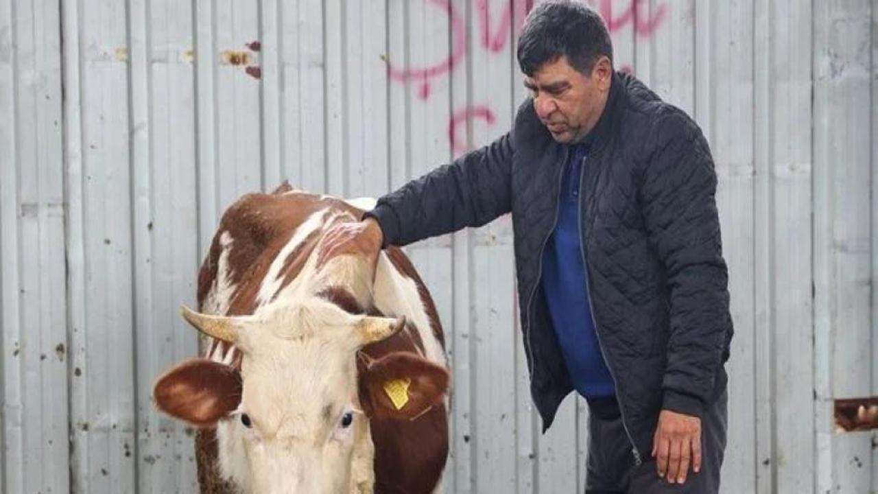 Depremzede besicilerden çağrı: Kamu alım yapsın