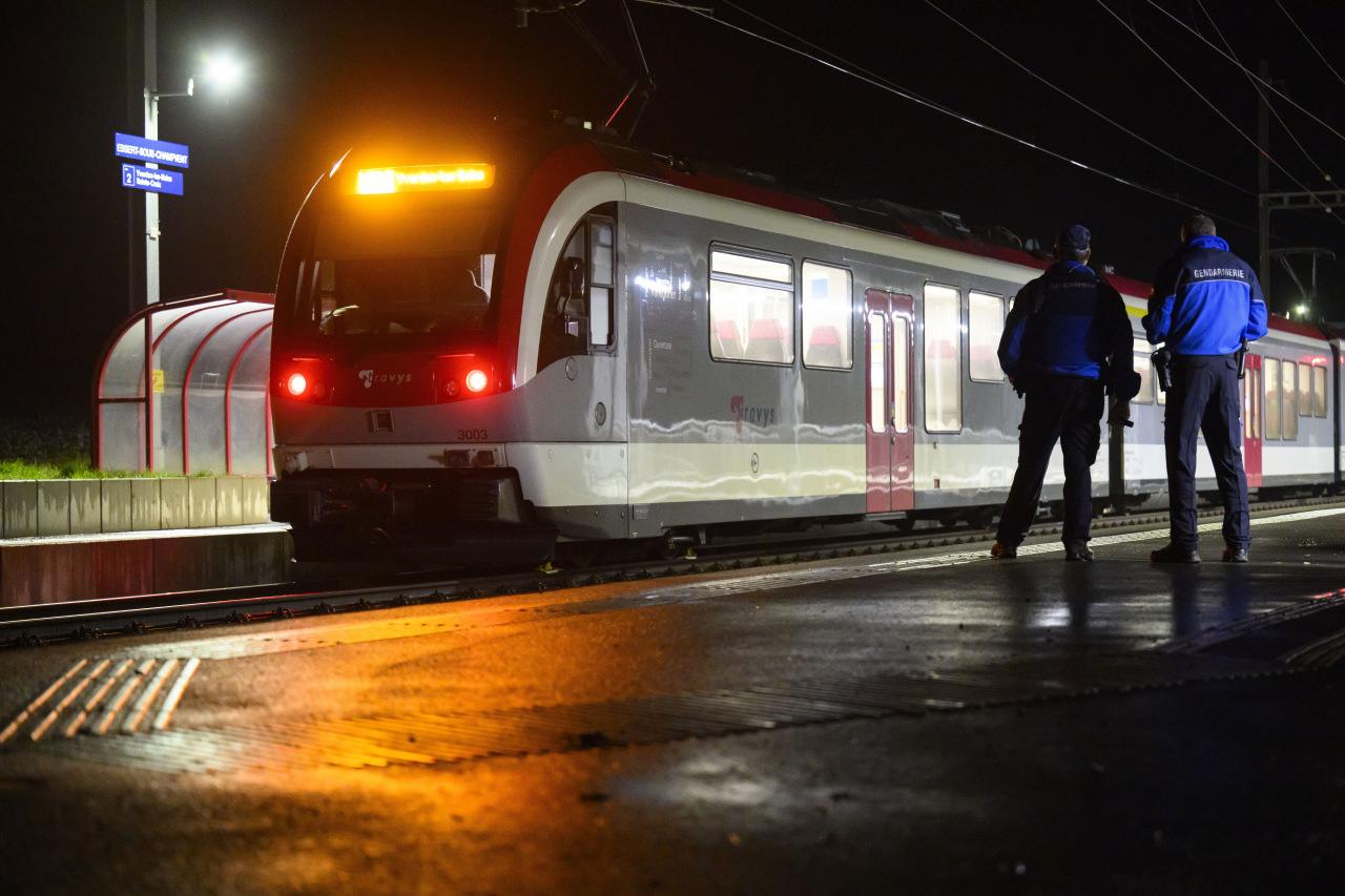 İsviçre'de baltalı saldırgan terör estirdi