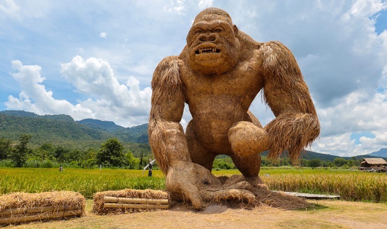 Yaşamış en büyük primatın yok olma sebebi Çin’de yapılan araştırma ile ortaya çıktı! 2 milyon yıl önce yaşamıştı…