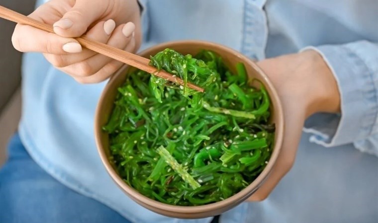 Deniz yosununun bilinmeyen mucizeleri: Nükleer savaşta ‘temel besin’ olacak