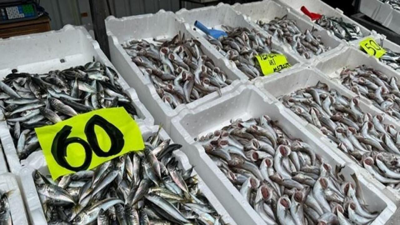 Tezgahlardaki bolluk fiyatlara yansıdı